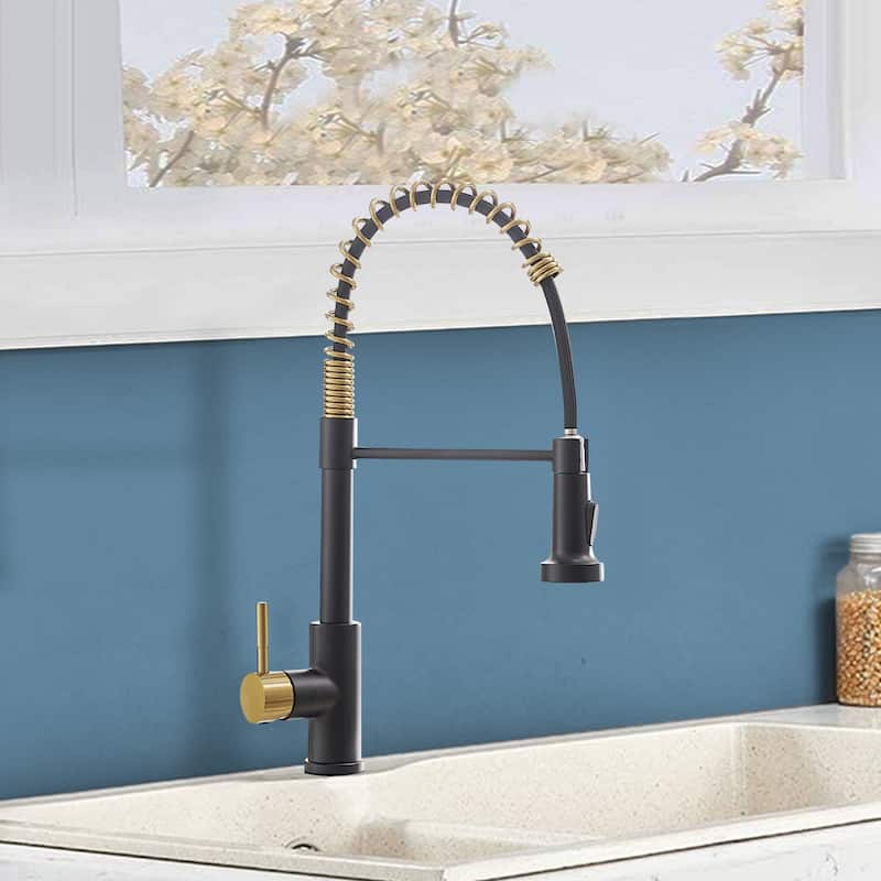 Single Hole Single Handle Pull Down Kitchen Faucet with Sprayer