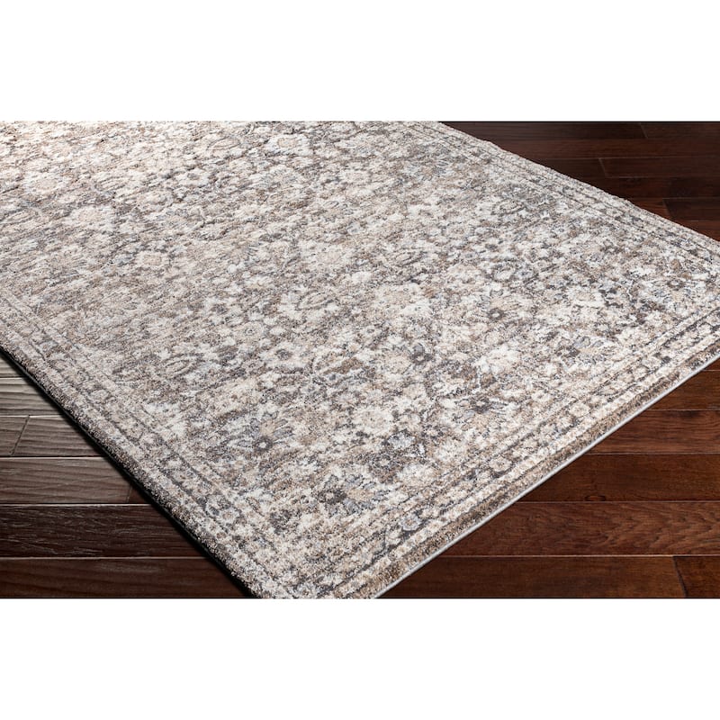 Artistic Weavers Yinsen Updated Persian Plush Area Rug
