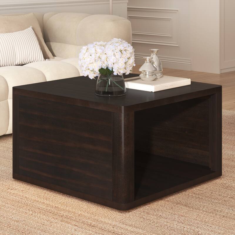 Roomfitters Modern Square Coffee Table with Open Storage Shelf, Wood Finish, 2-Tier Center Table 30.8"