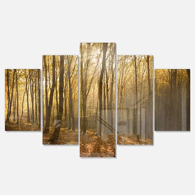 Designart 'Thick Green Fall Forest with Fog' Large Forest Glossy Metal Wall Art