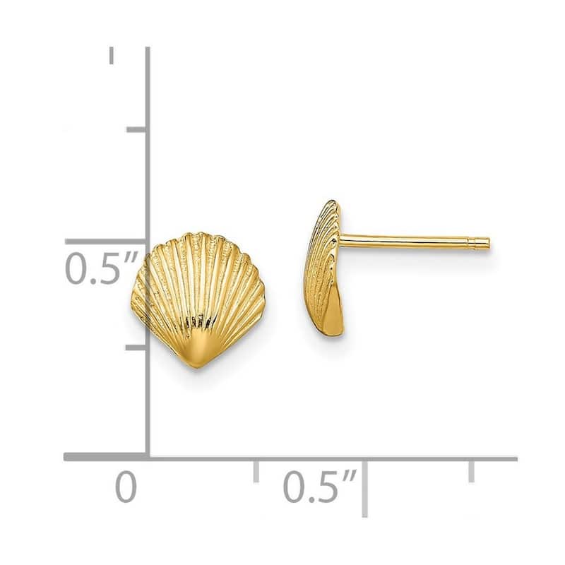 Curata 14k Gold Scallop Shell Post Earrings Jewelry Gifts for Women