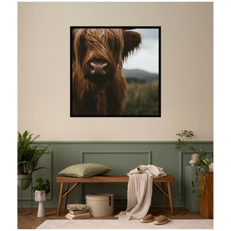 Kate and Laurel Close Up of Scottish Highland Cattle Baby SQ by Michael Schauer Framed Wall Art Print