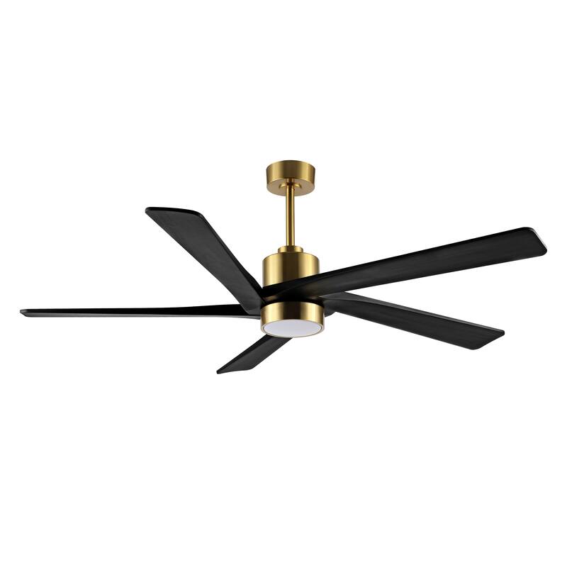 64 Inch DC Ceiling Fan with Lights and Remote Control, 5 Reversible Carved Wood Blades - N/A
