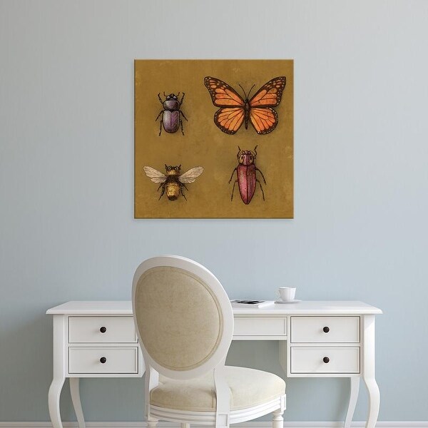 Easy Art Prints Terry Fan's 'B Is For' Premium Canvas Art
