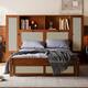 Option Walnut