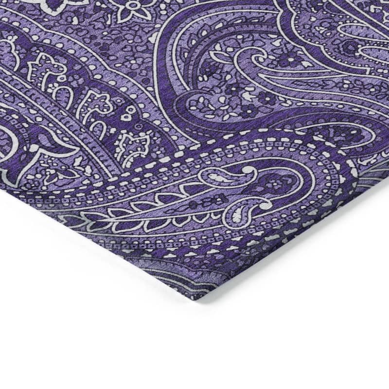 HomeRoots Paisley Traditional Rectangle Outdoor Rug
