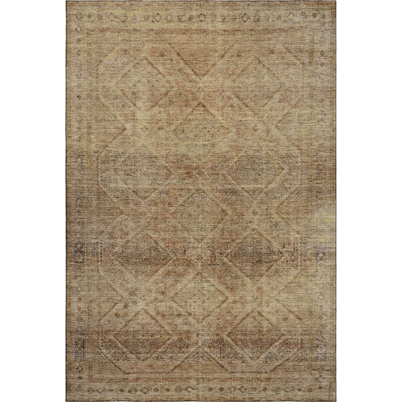 Premium Washable Super Soft Boho Moroccan Mayfield Rug