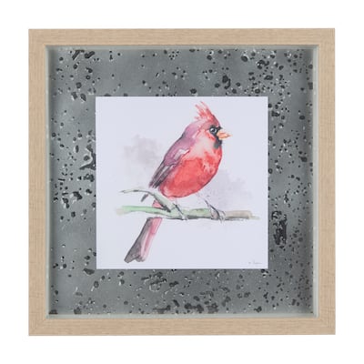 Cardinal II Framed Art Print