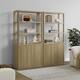Option Oak
