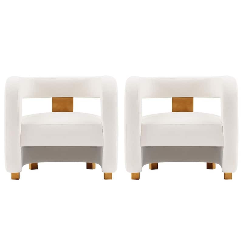 Manhattan Comfort Modern Amirah Velvet Accent Chair Set of 2