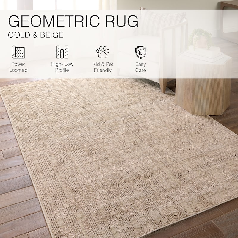 Gimeas Geometric Area Rug