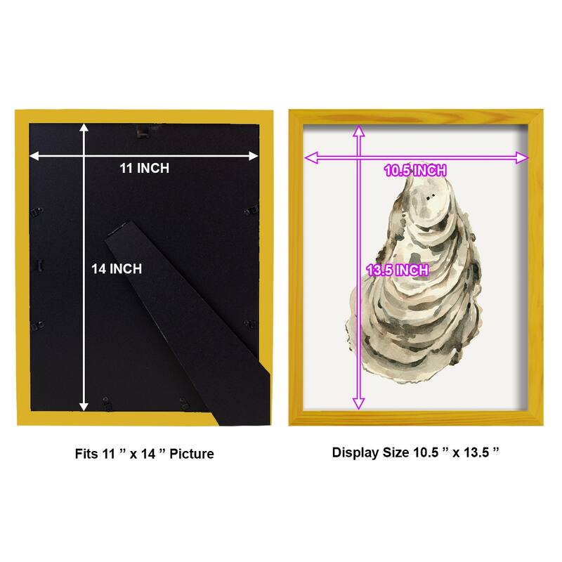 Neutral Oyster Study I -Framed Print w/glass-Cherry Red