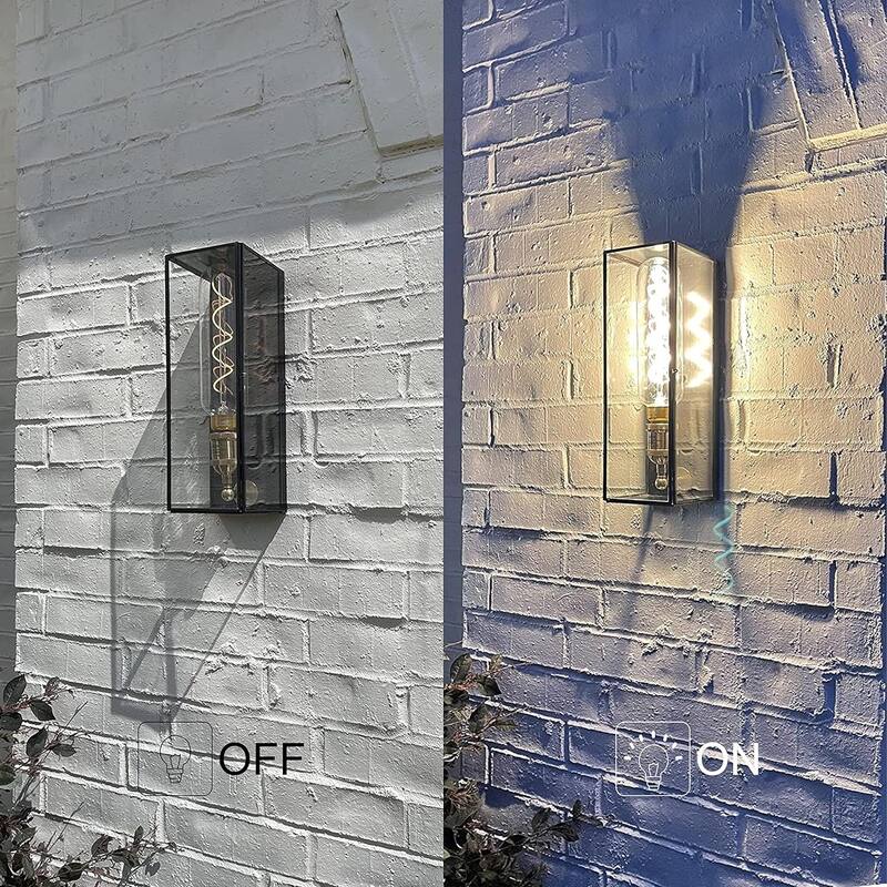 C Cattleya Solid Brass Outdoor Wall Lantern with Tempered Clear Glass Shade