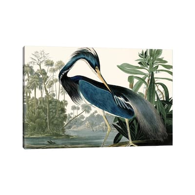 iCanvas "Louisana Heron" by Piddix Canvas Print
