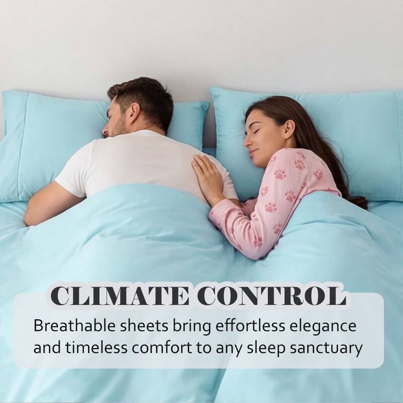 Superior Egyptian Cotton 650 TC Embroidered Pillow Cases, Set of 2