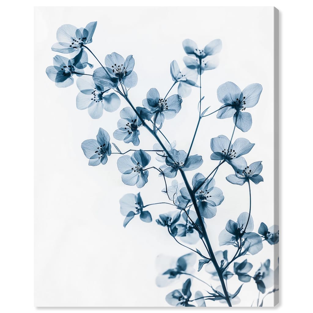 Translucent Petals II Canvas by Art Remedy, Gallery Wrapped