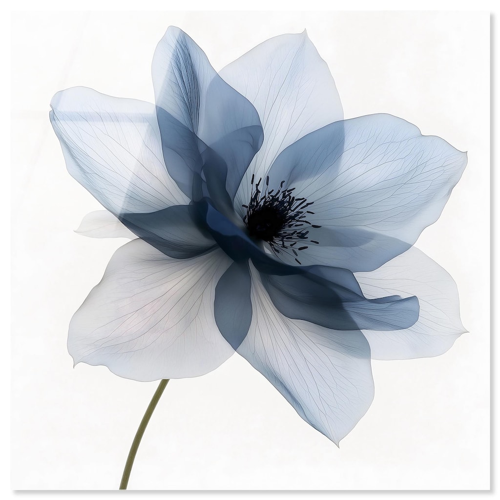 Morning Petalia I Acrylic by Art Remedy, Ready to Hang