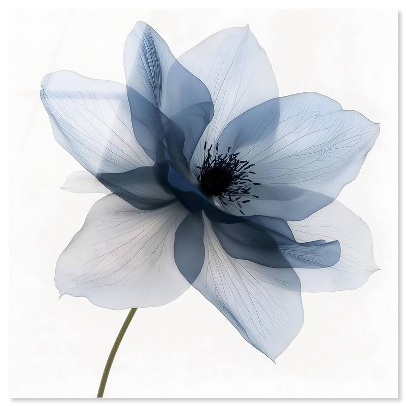 Morning Petalia I Acrylic by Art Remedy, Ready to Hang - 24" x 24"