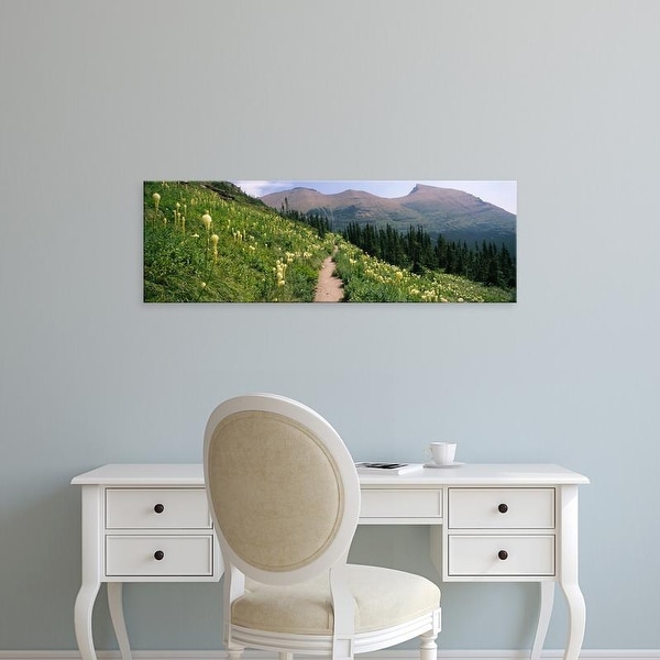 Easy Art Prints Panoramic Images's 'Hiking trail with Beargrass at US Glacier National Park, Montana' Canvas Art