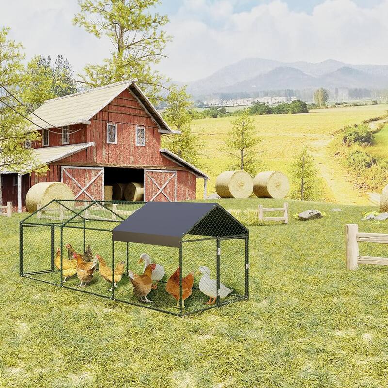 Outdoor Chicken Run Coop Hen House, Poultry Cage for Backyard Farm - Black Square Tube