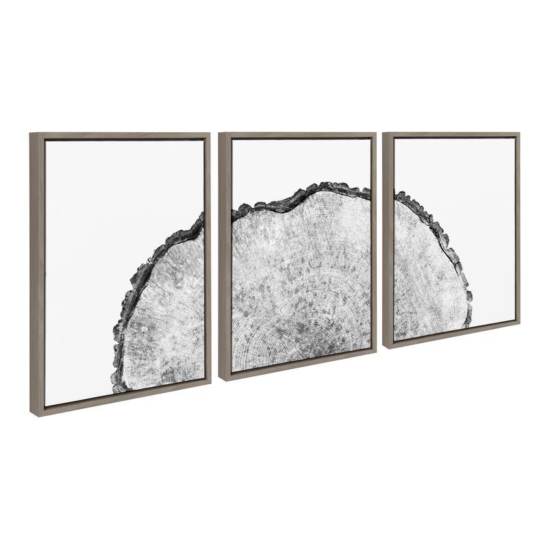 Kate and Laurel Sylvie Tree Rings Set Canvas by Emiko and Mark Franzen - 3 Piece 18x24 - Plastic - Grey