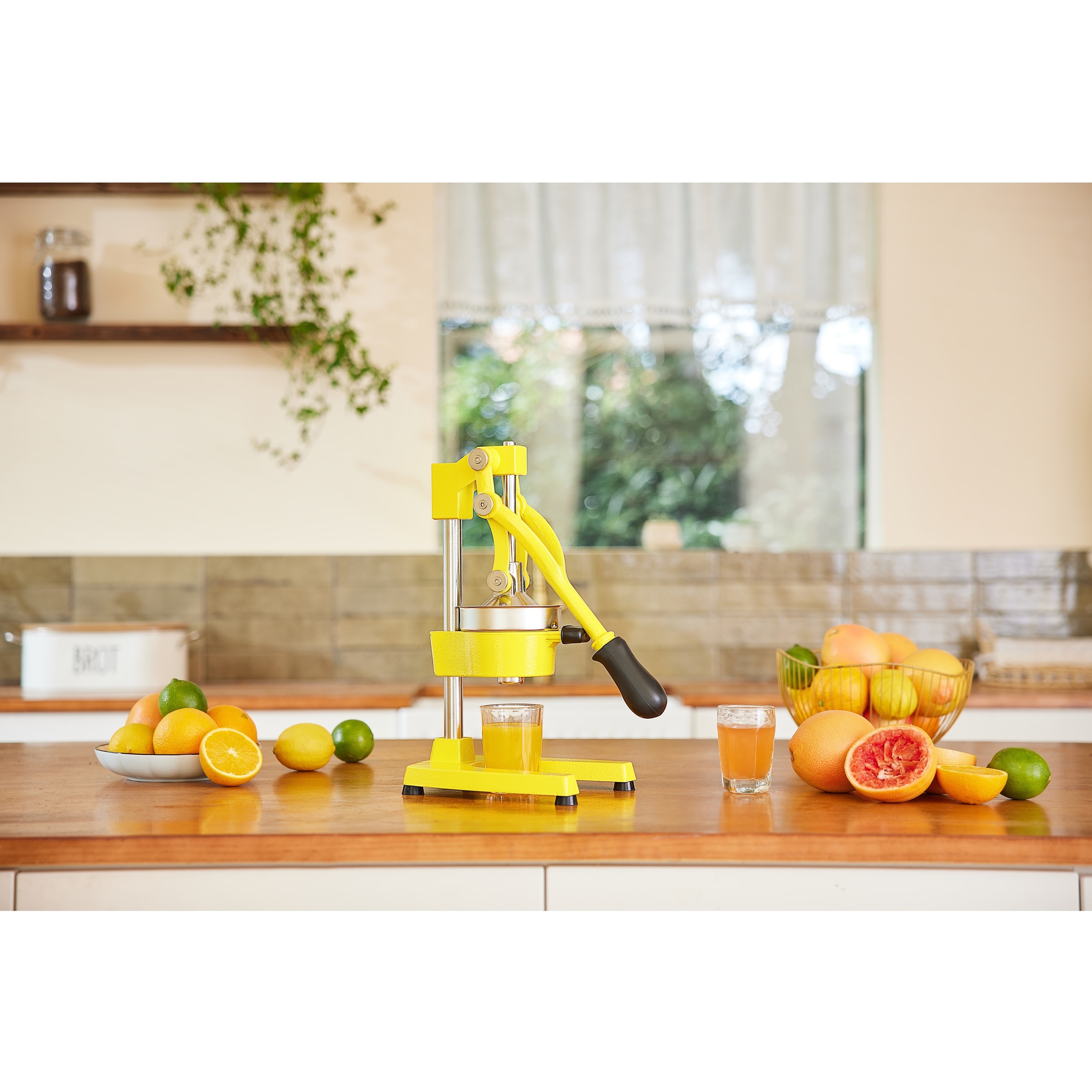 Orange hand press juicer shop