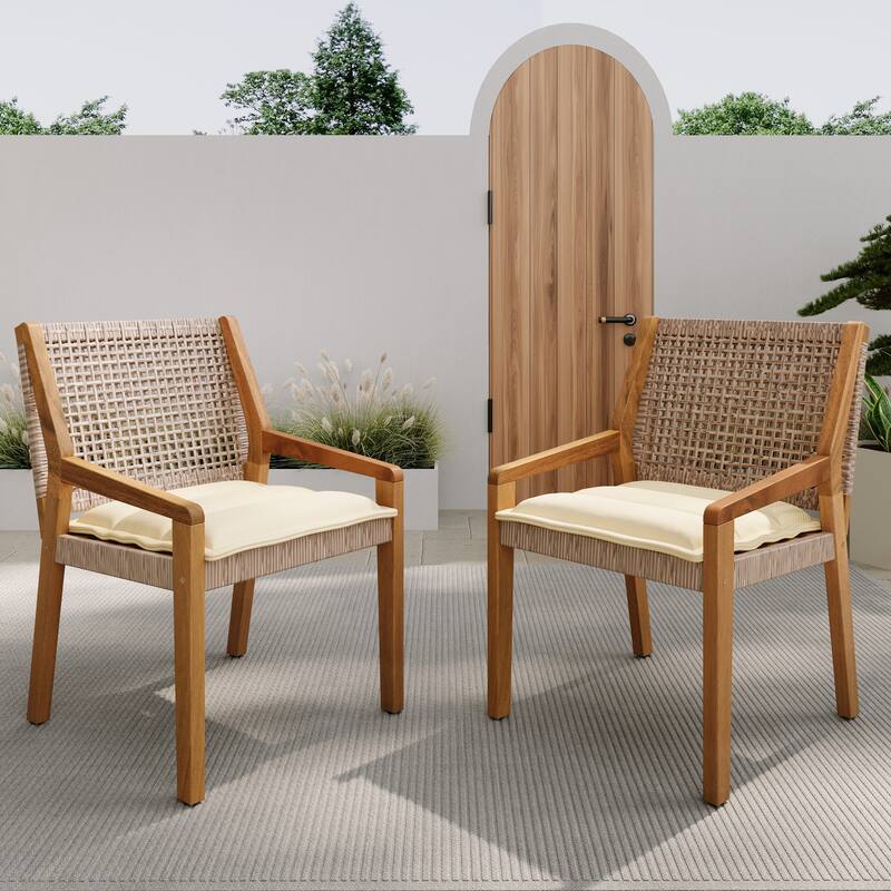 Wicker Dining Chairs Set of 2 with Cushions, Armchairs Reading Chair Accent Chair Leisure Chair Reception Chair