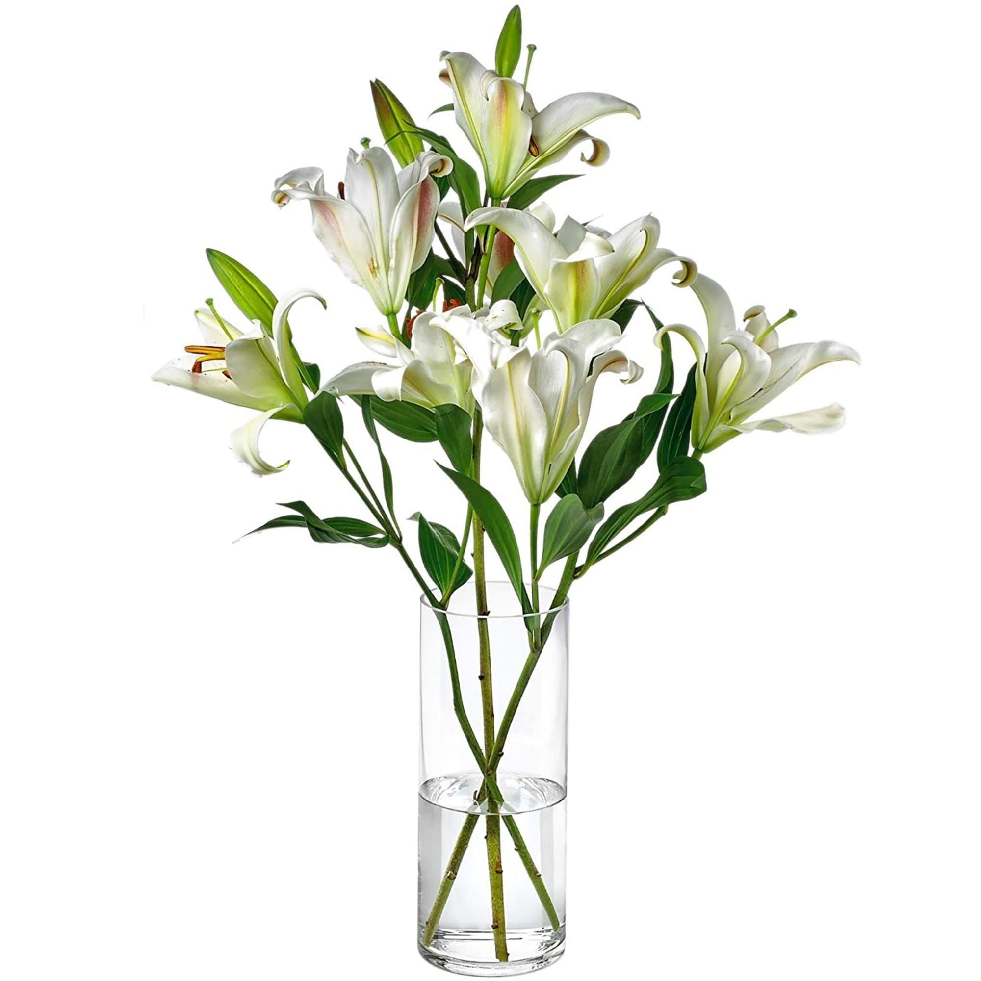 Clear Glass Cylinder Vase Ideal Flower Arrangements for Weddings or Special Events