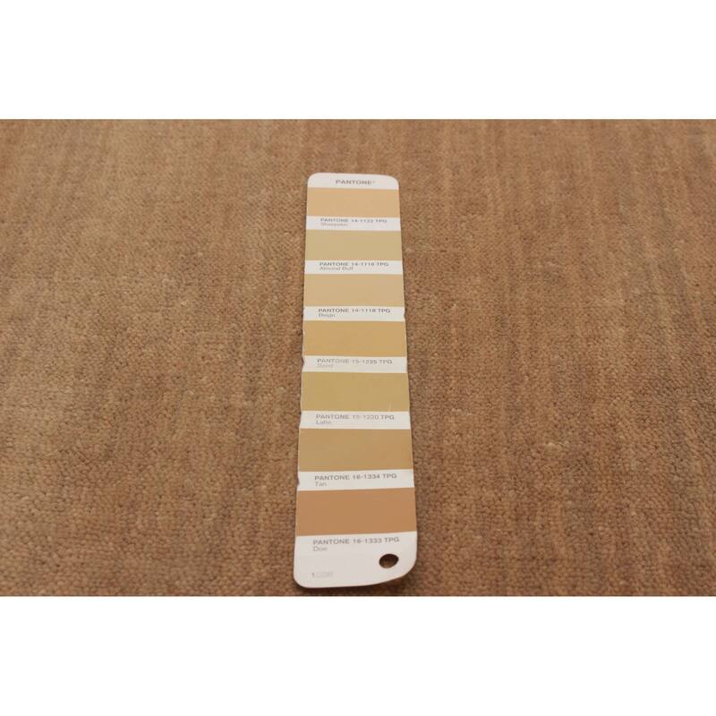 Kashkuli Gabbeh Beige Rug 2'5" x 6'5" - 2'5 x 6'5