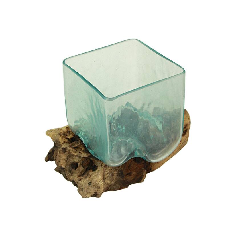 Teak Driftwood Glass Square Vase/Bowl - 8" High - Nature-Inspired