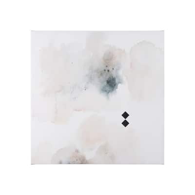 Equilibrium IV (29 x 29) Canvas Art Print