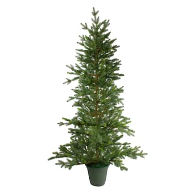 6' Potted Noble Pine Slim Artificial Christmas Tree - Unlit