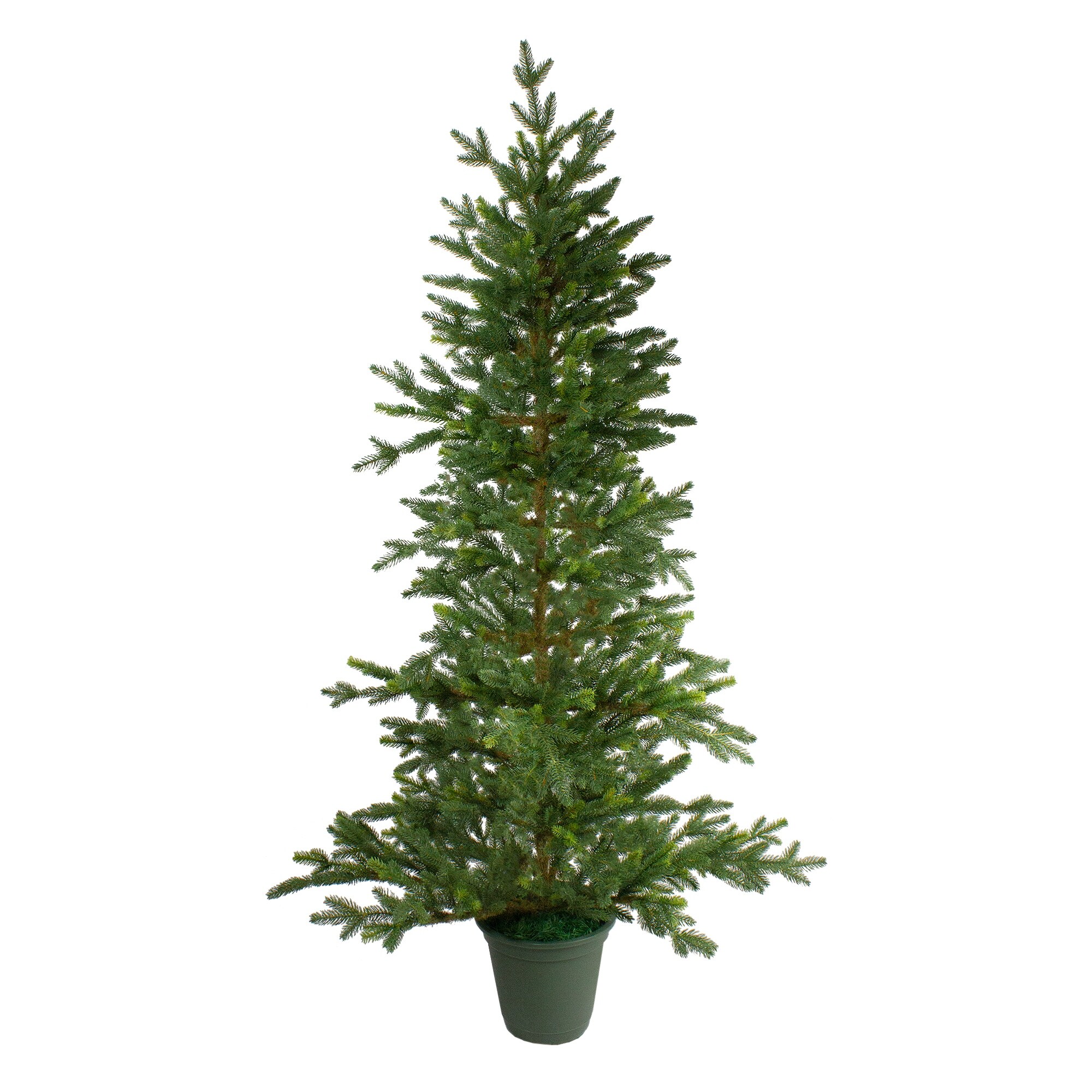 Noble Fir Christmas Tree Bed Bath And Beyond at Erick Miller blog
