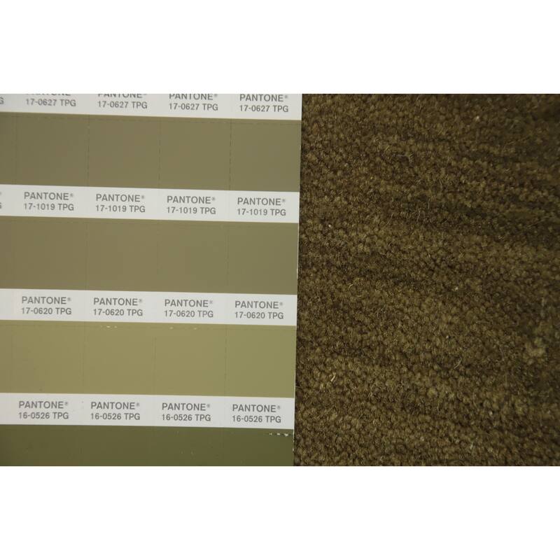 Hand Knotted Oriental 100% Wool Carpet Tribal Animal Pictorial Green Gabbeh Area Rug - 7' 9'' X 4' 11''