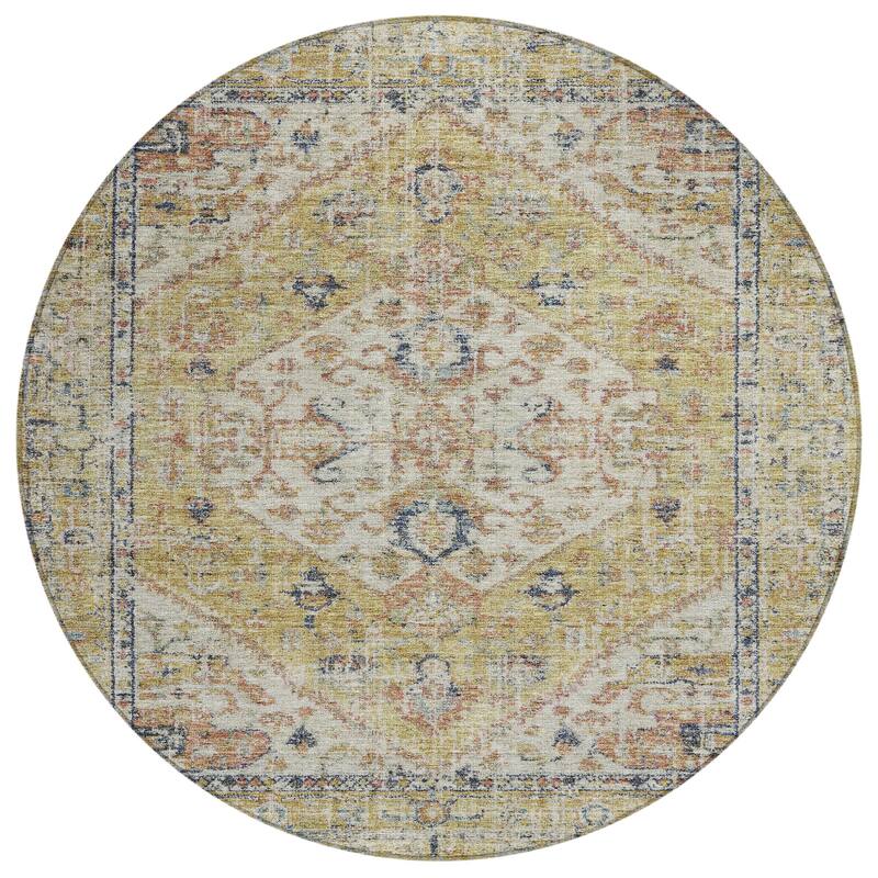 Machine Washable Indoor/ Outdoor Vintage Traditional Chantille Rug
