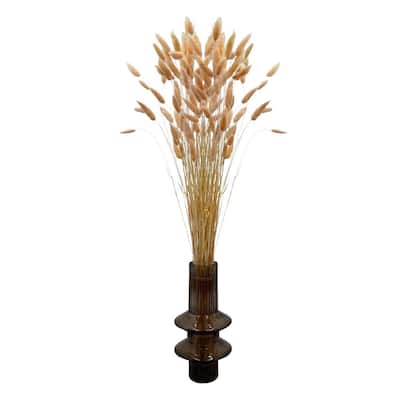 Bundle of 4 Bunch Dried Bunny Tails Grass-20-24" apx 1 oz - 20 to 24 inch