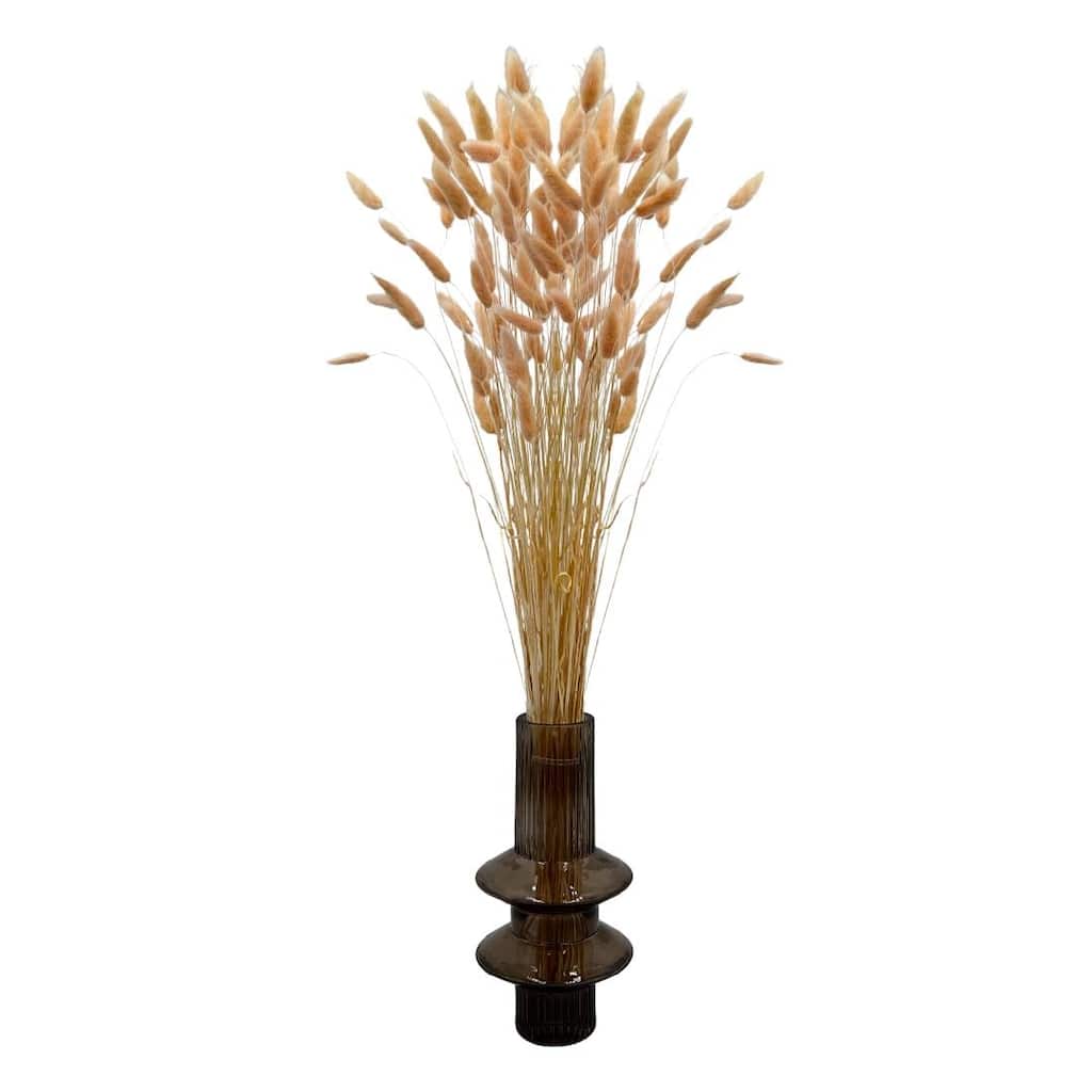 Bundle of 4 Bunch Dried Bunny Tails Grass-20-24" apx 1 oz - 20 to 24 inch