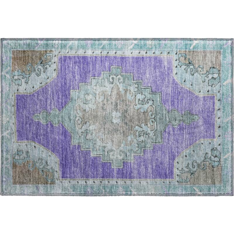 Premium Washable Super Soft Vintage Traditional Mayfield Rug