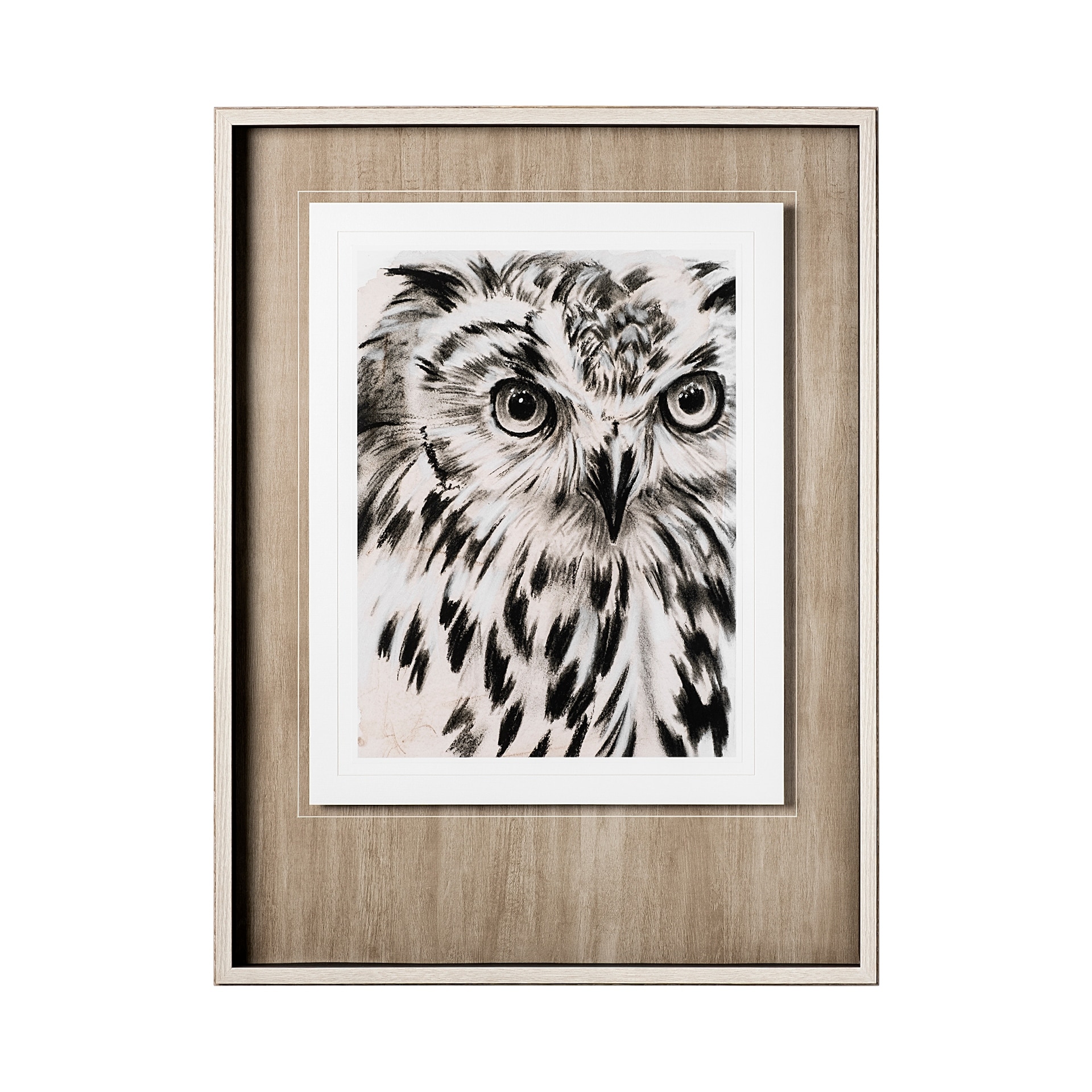 Mercana Charcoal Owl I by Jennifer Paxton Parker a Framed Art Print Matted under Glass