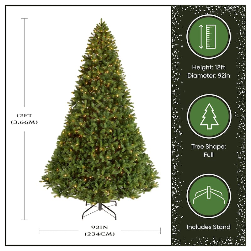 National Tree Company 12 ft. Downswept Douglas Fir Tree with Clear Lights - 12 Foot