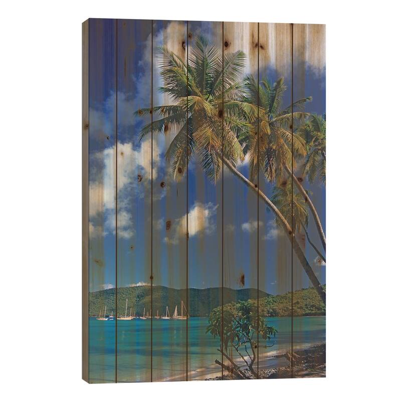 Palm Trees At Maho Bay, Virgin Islands Print On Wood by Tim Fitzharris - Multi-Color - 26x18x1.5