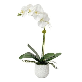 Uttermost 60178 Cami Orchid 24" Tall Ceramic Faux Flora Planter