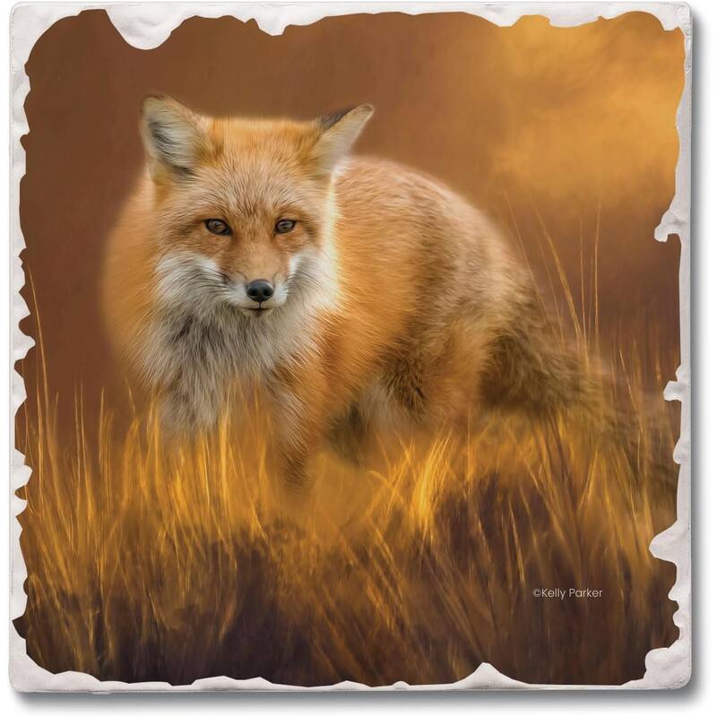 Fox in The Grass 4 Pack Tumbled Tile Stone Coaster with Protective Cork Backing Manufactured in The USA 4" Square - Multi-Color