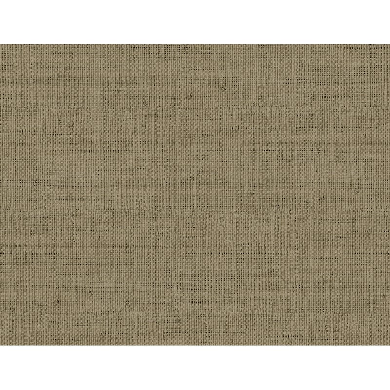 Seabrook Designs Wild Bind Embossed Vinyl Unpasted Wallpaper - 27 in W x 27 ft. L - Cafe Latte