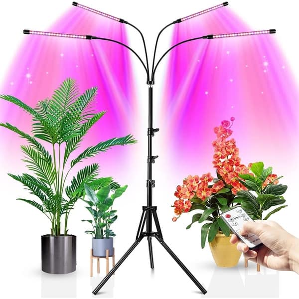 Plant Light for Indoor Plants,LED Full Spectrum Grow Lights - Bed Bath &  Beyond - 40191566