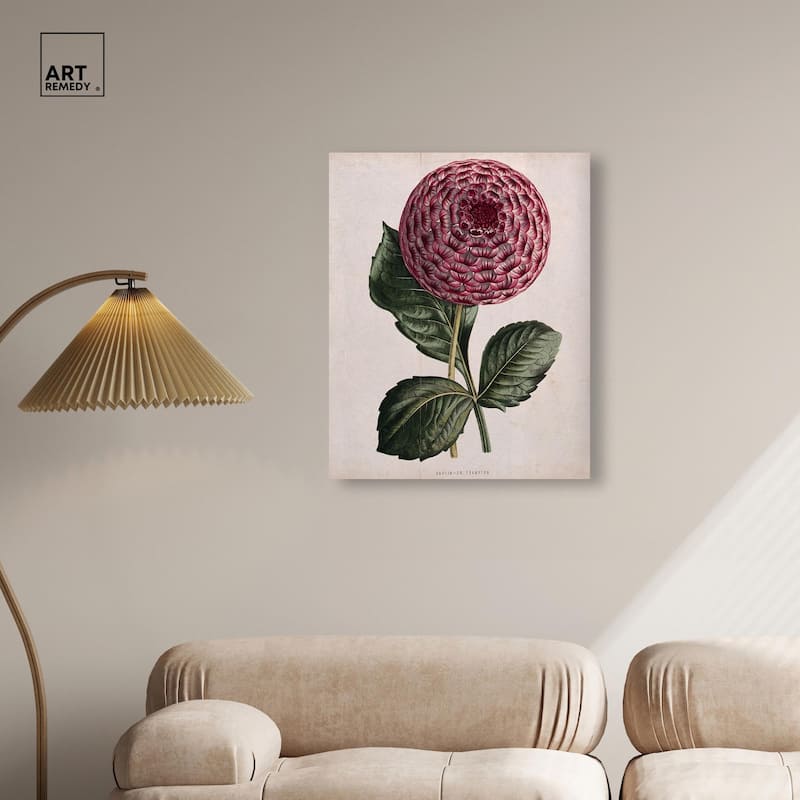 A dahlia Canvas by Art Remedy, Gallery Wrapped