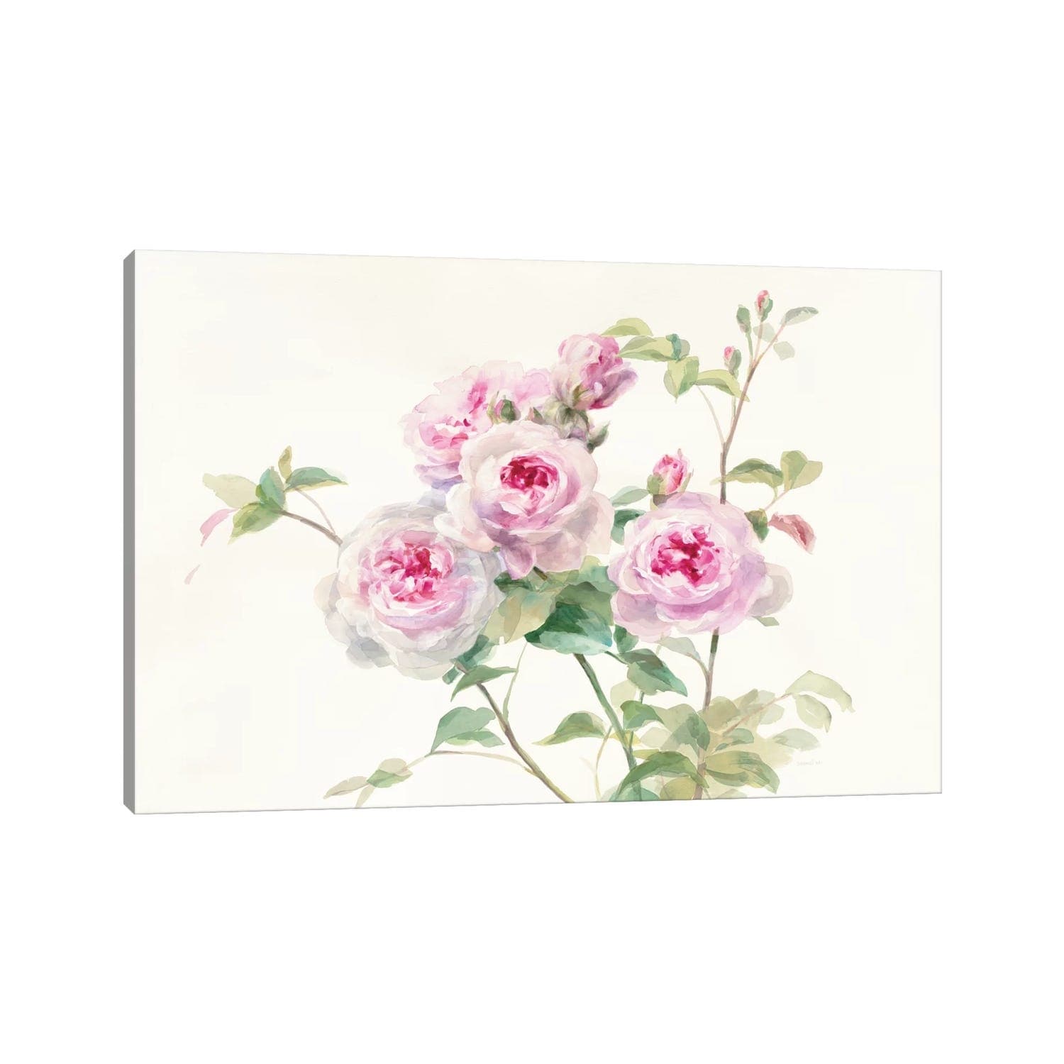 iCanvas "Sweet Roses On White Green" by Danhui Nai Canvas Print