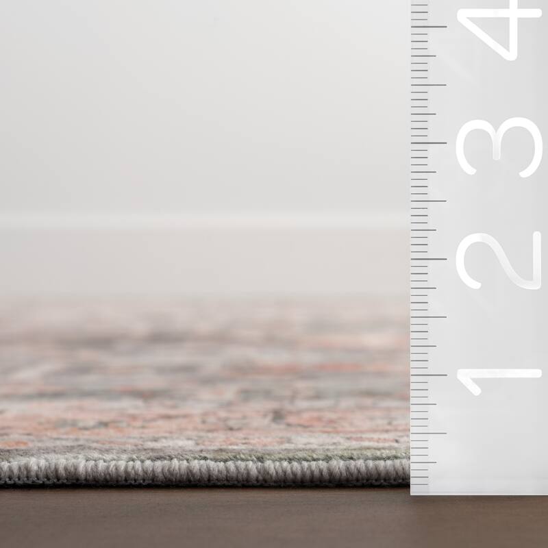 Nuloom Caisyn Bordered Medallion Machine Washable Area Rug