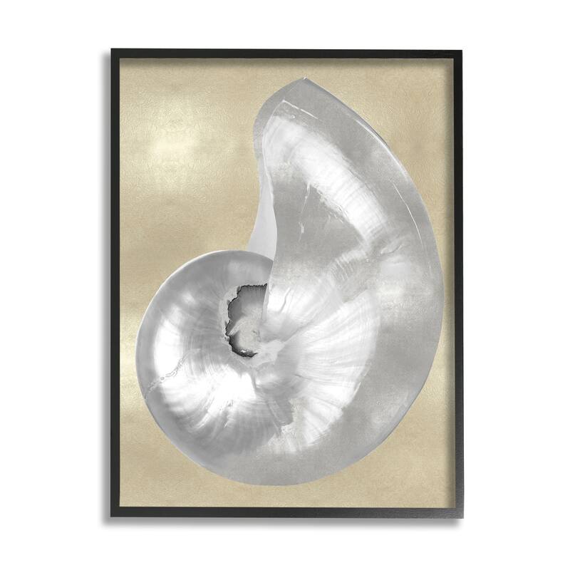 Stupell Glam Nautilus Shell Soft Grey Neutral over Beige Framed Wall Art - 16 x 20 - Black