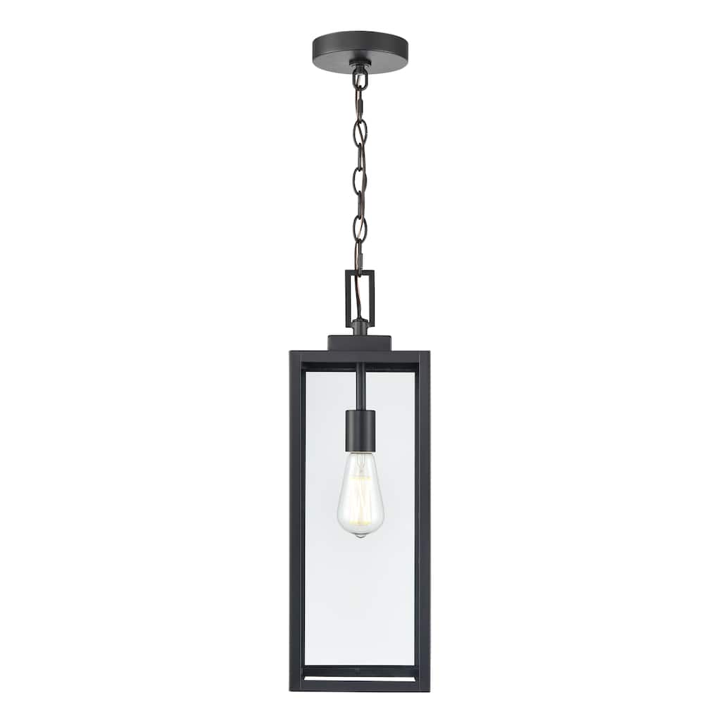 1-Light Outdoor Hanging Lantern